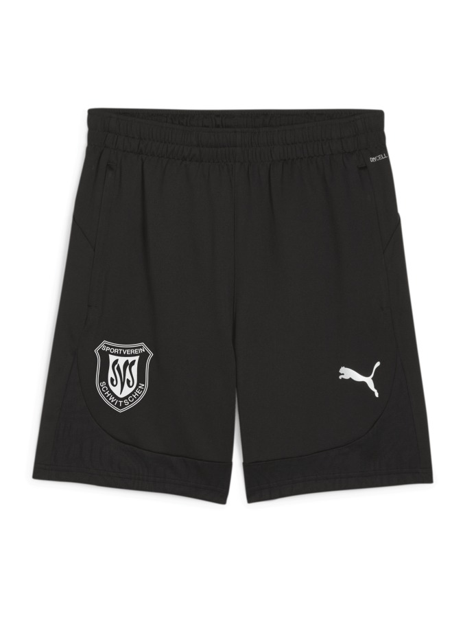 PUMA teamFINAL Training Shorts