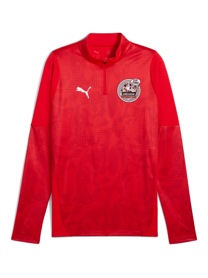 PUMA teamCUP Training 1/4-Zip-Top