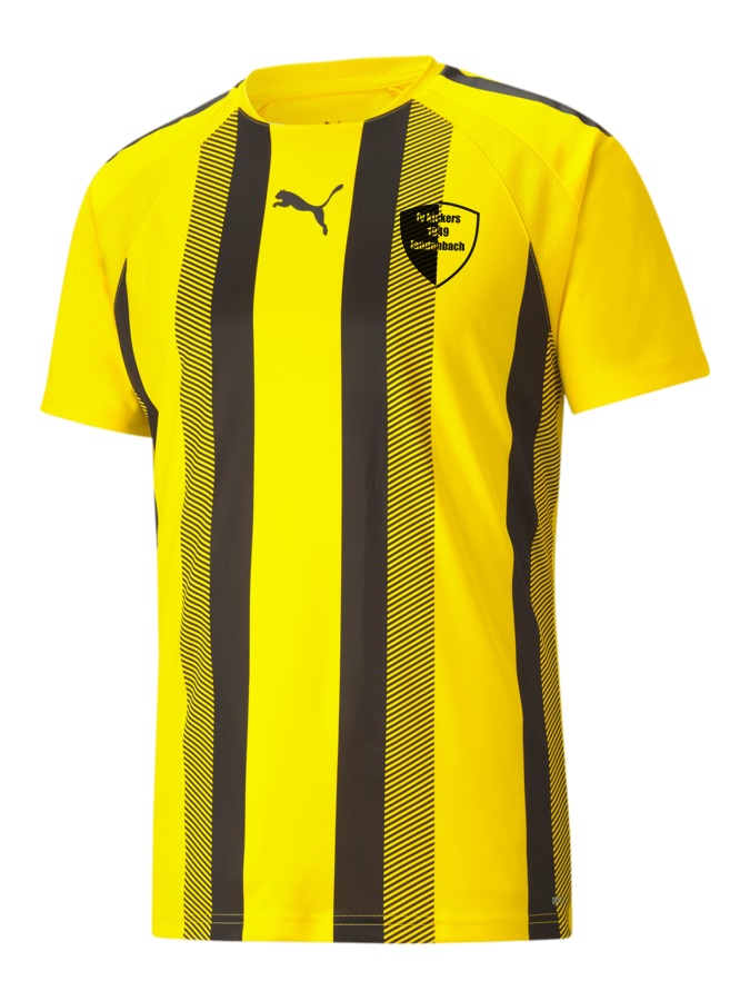 PUMA teamLIGA Striped Trikot