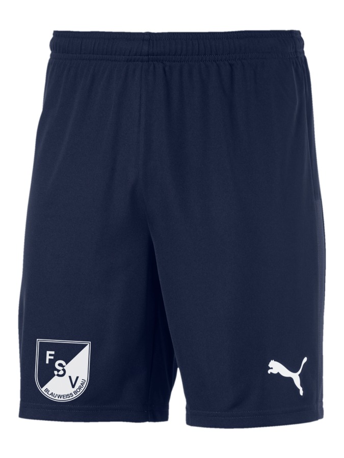 PUMA teamGOAL 23 Knit Shorts