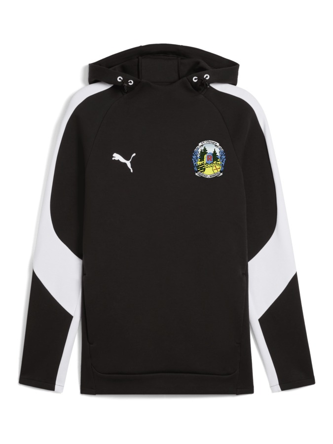 PUMA teamEVOSTRIPE Hoody