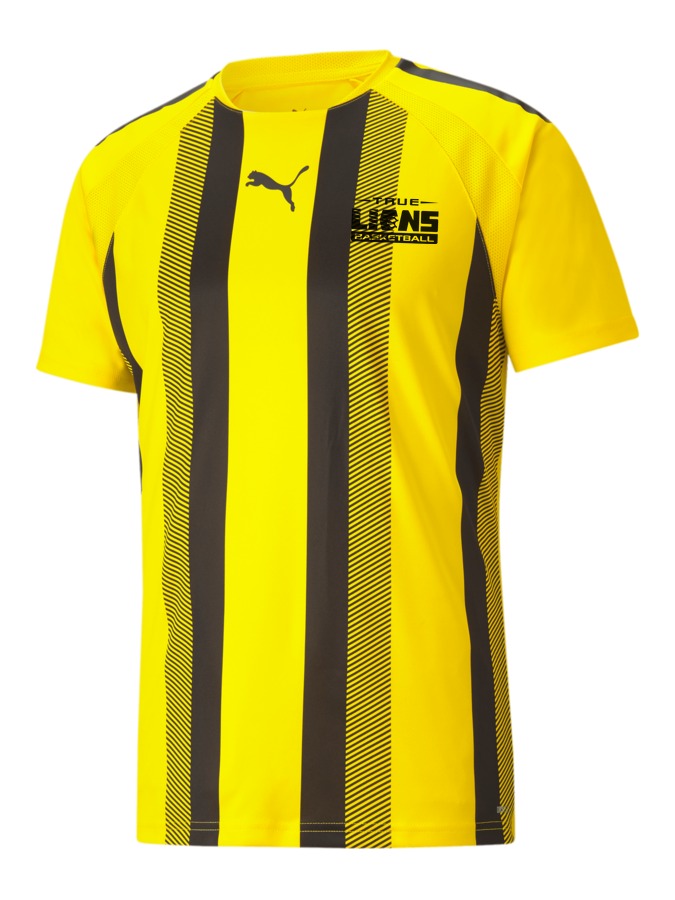 PUMA teamLIGA Striped Trikot