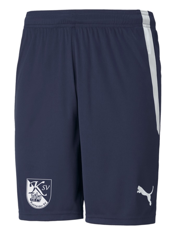 PUMA teamLIGA Shorts