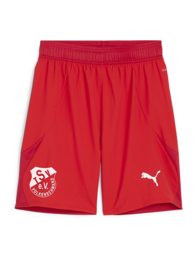 PUMA teamFINAL Shorts