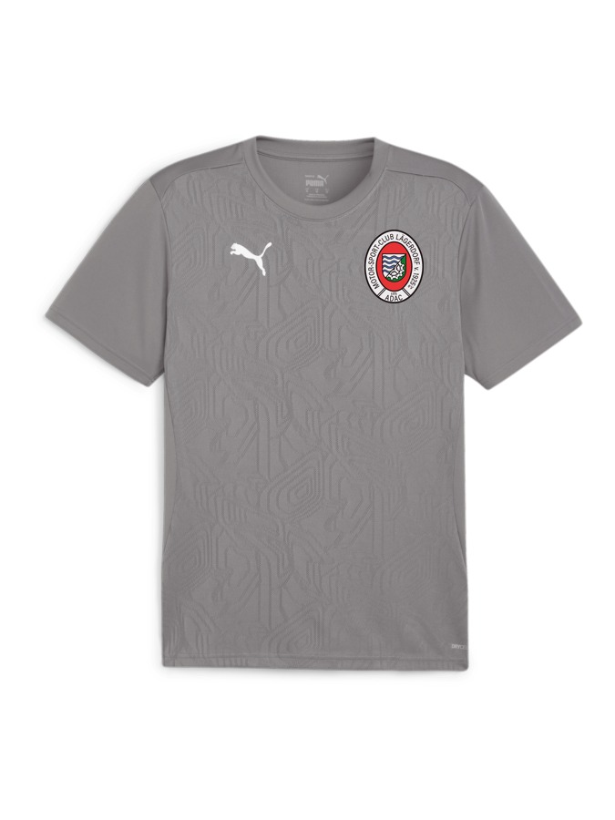 PUMA teamFINAL Trainingsshirt