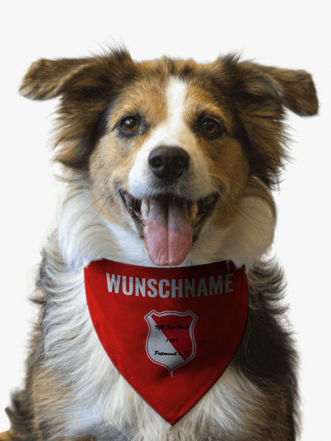 Hundehalstuch