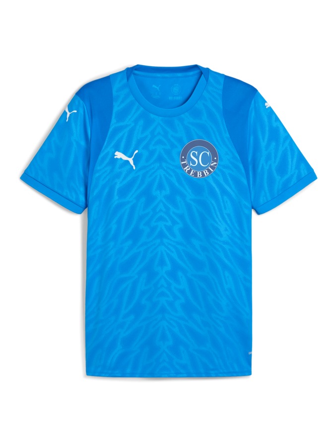 PUMA teamCUP Trikot