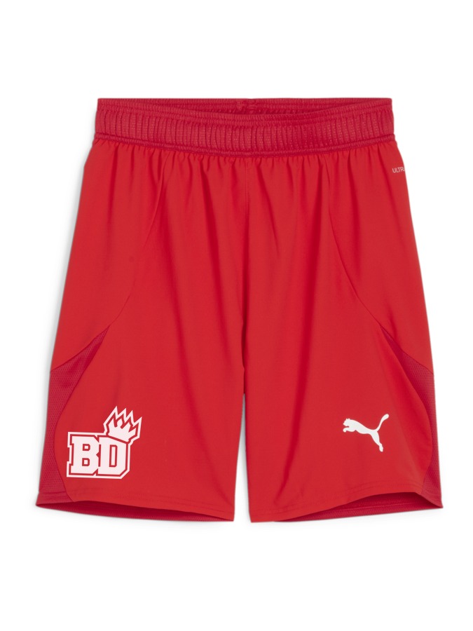 PUMA teamFINAL Shorts