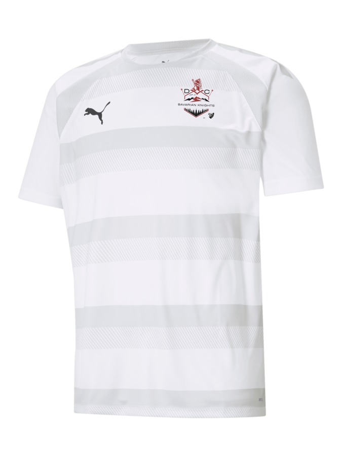 PUMA teamVISION Trikot