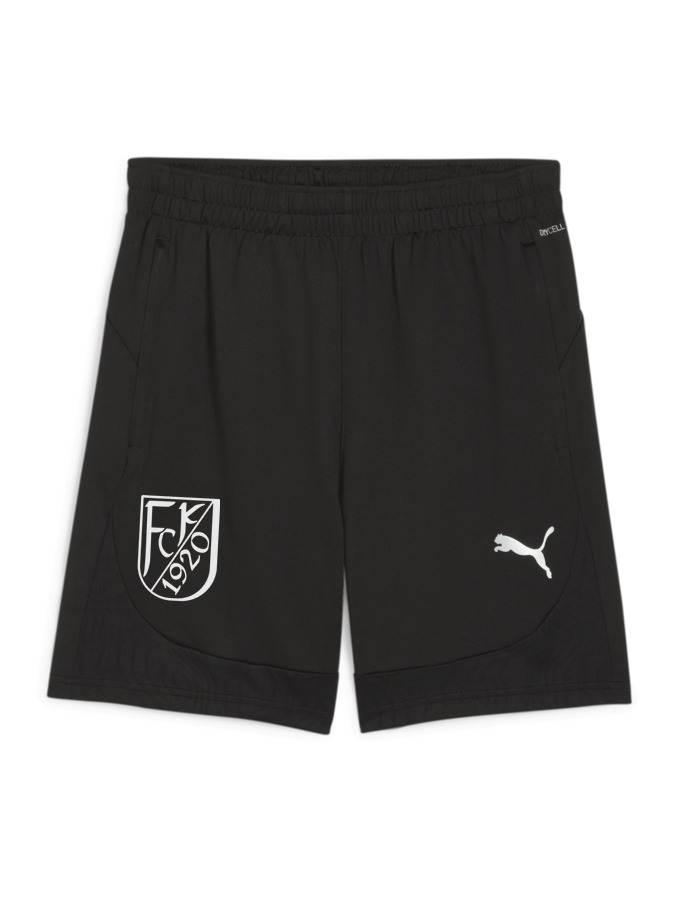 PUMA teamFINAL Training Shorts