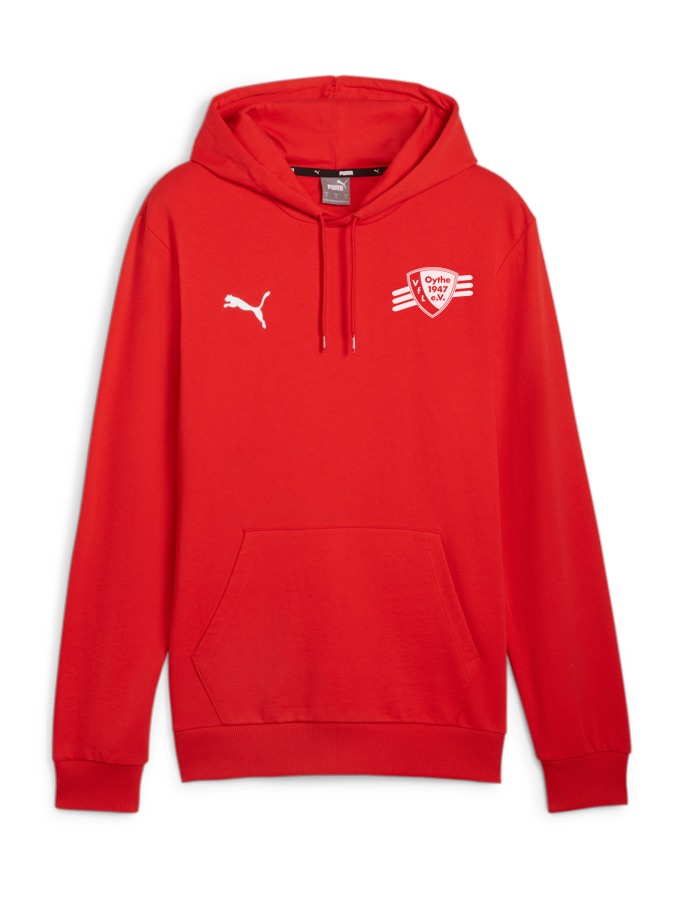 PUMA teamGOAL Casuals Hoody