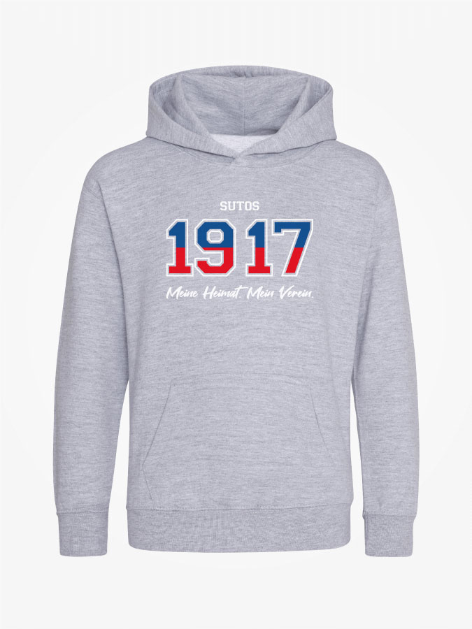 Hoodie Established Kids