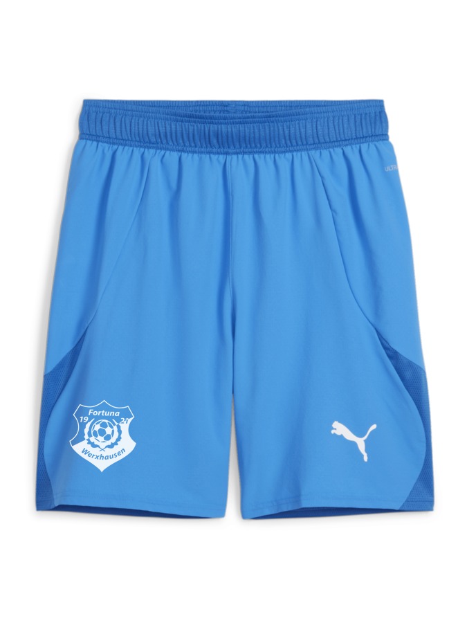 PUMA teamFINAL Shorts