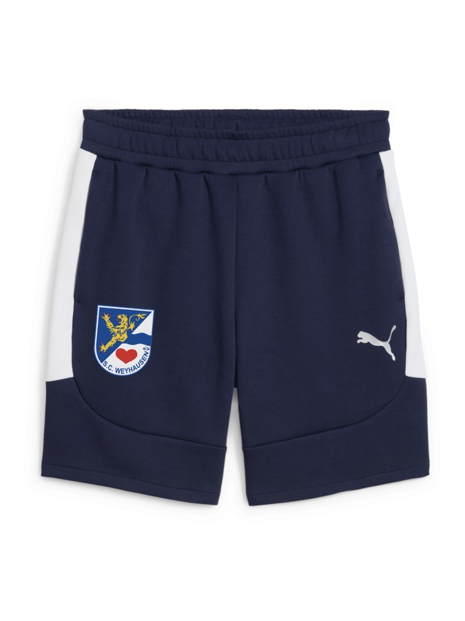 PUMA teamEVOSTRIPE Shorts