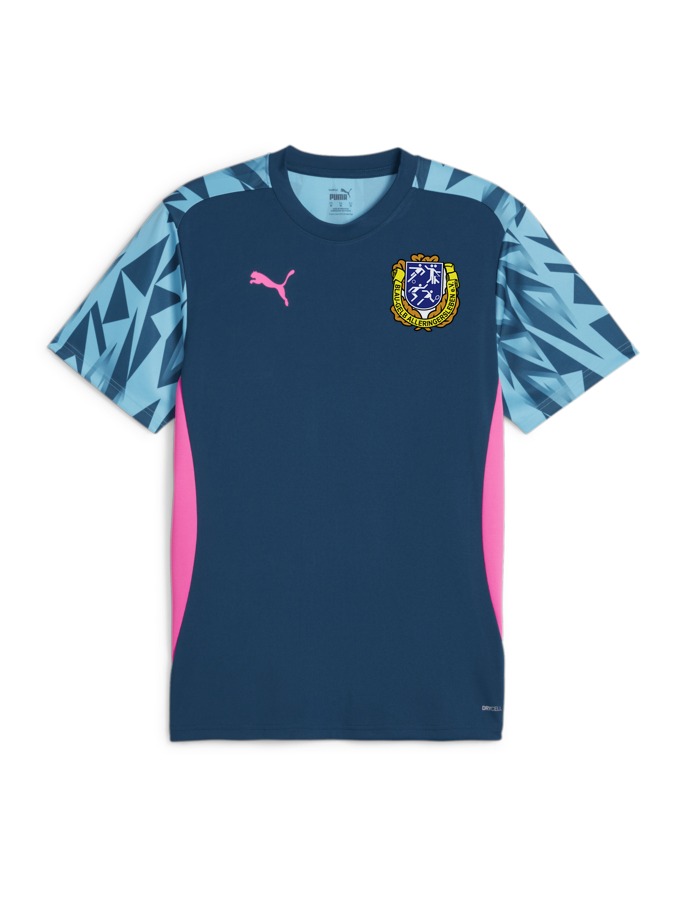 PUMA individualFINAL Trikot