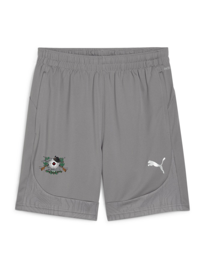 PUMA teamFINAL Training Shorts
