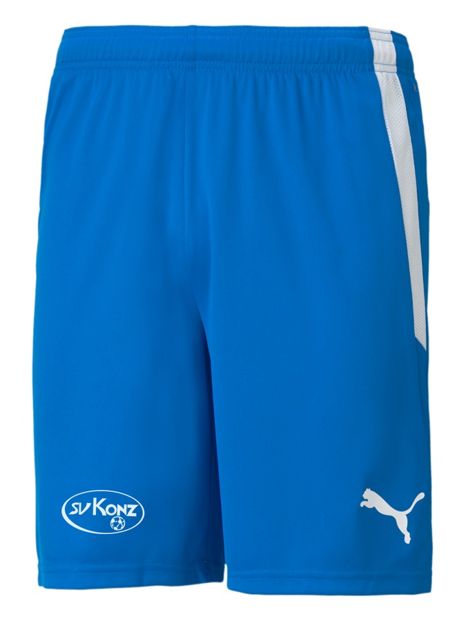 PUMA teamLIGA Shorts