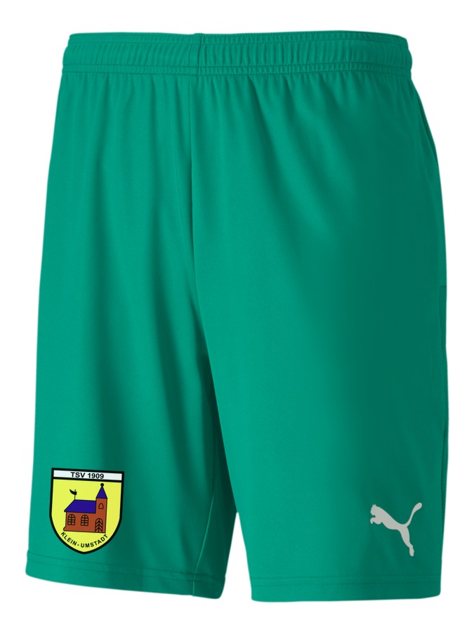 PUMA teamGOAL 23 Knit Shorts