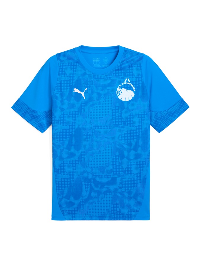 PUMA teamCUP Trainingsshirt
