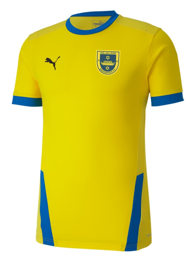 PUMA teamGOAL 23 Trikot