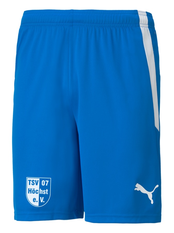 PUMA teamLIGA Shorts