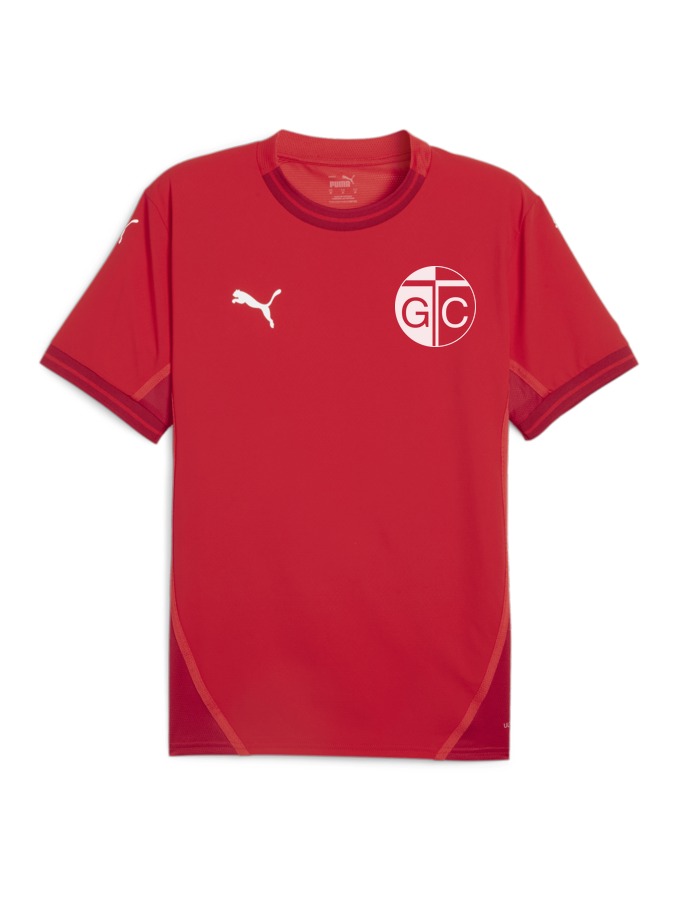 PUMA teamFINAL Trikot