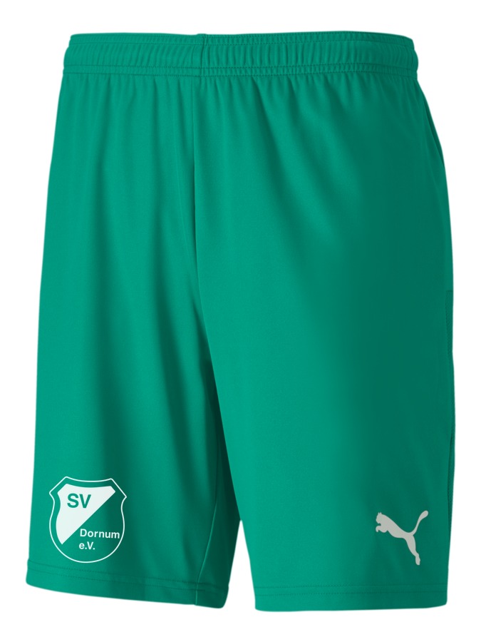 PUMA teamGOAL 23 Knit Shorts