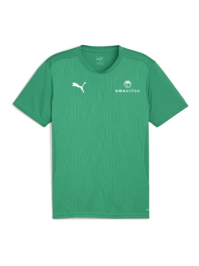 PUMA teamFINAL Trainingsshirt