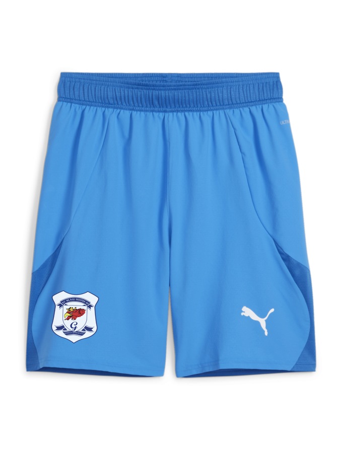PUMA teamFINAL Shorts