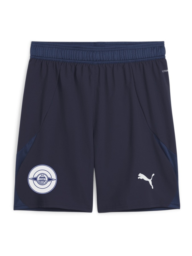 PUMA teamFINAL Shorts