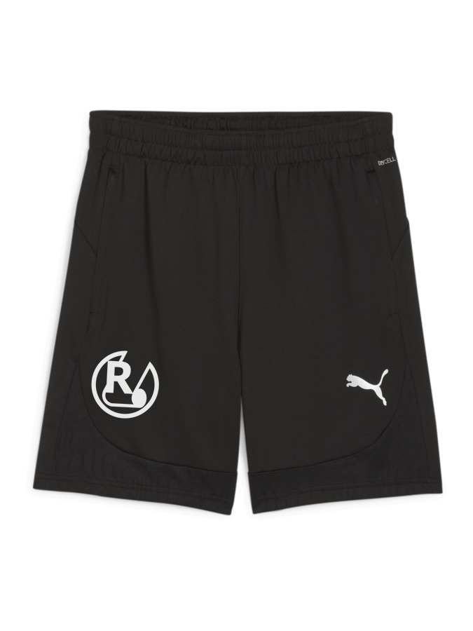 PUMA teamFINAL Training Shorts