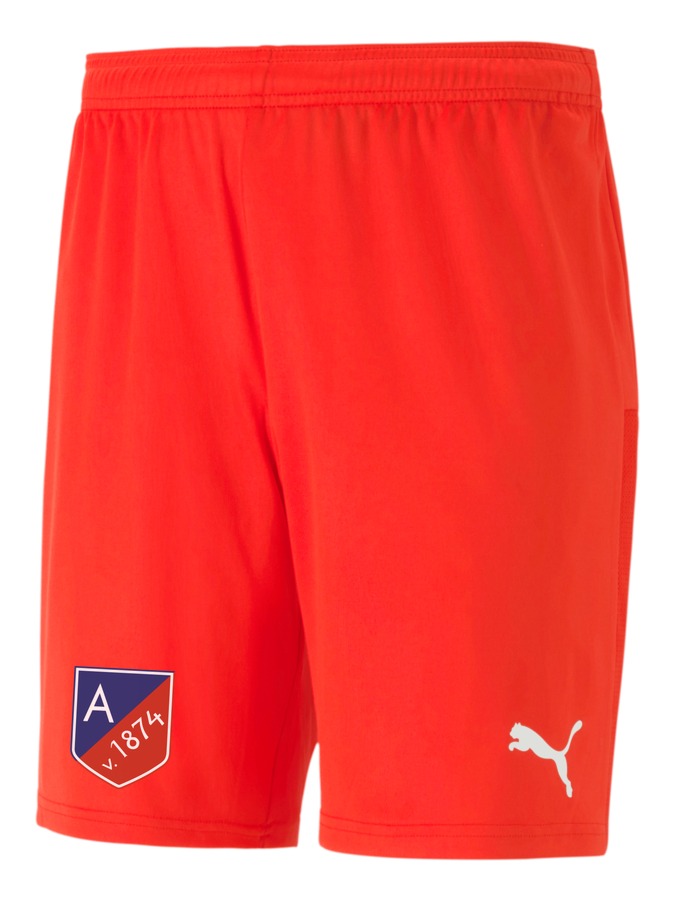PUMA teamGOAL 23 Knit Shorts