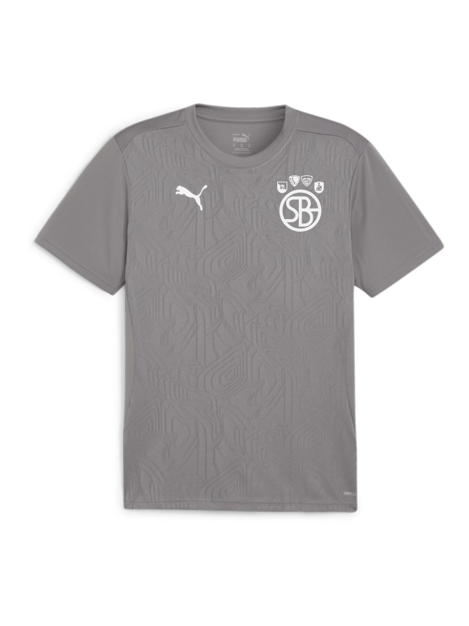 PUMA teamFINAL Trainingsshirt