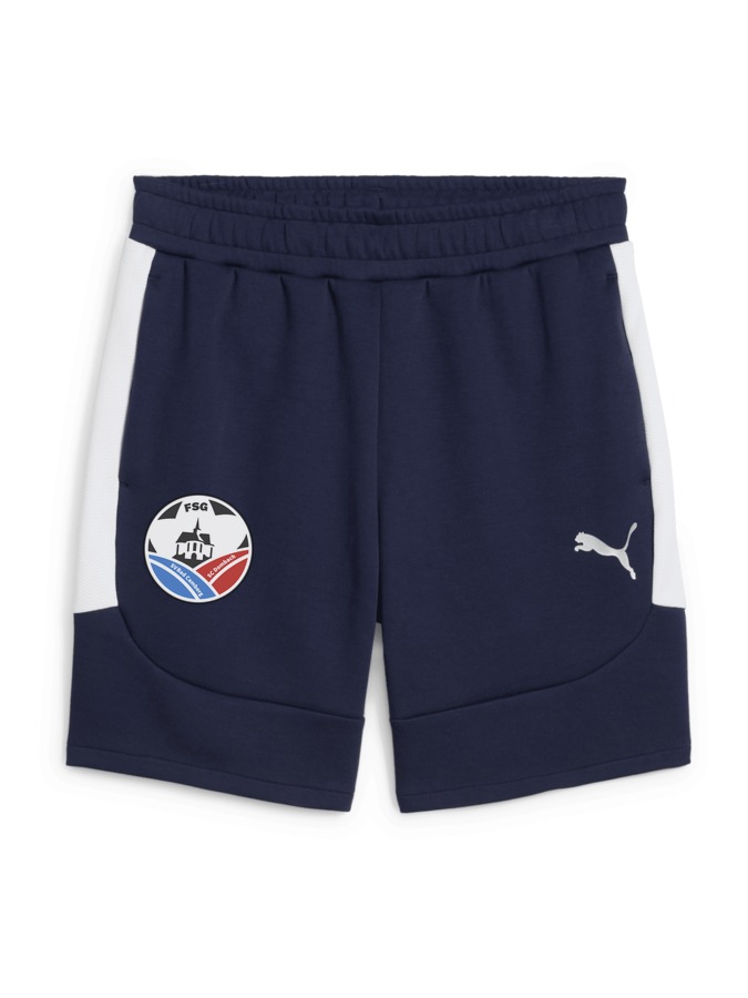 PUMA teamEVOSTRIPE Shorts