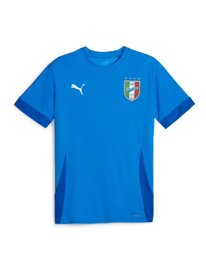 PUMA teamGOAL Matchday Trikot