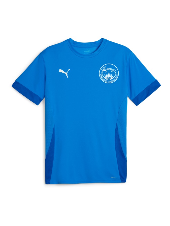 PUMA teamGOAL Matchday Trikot