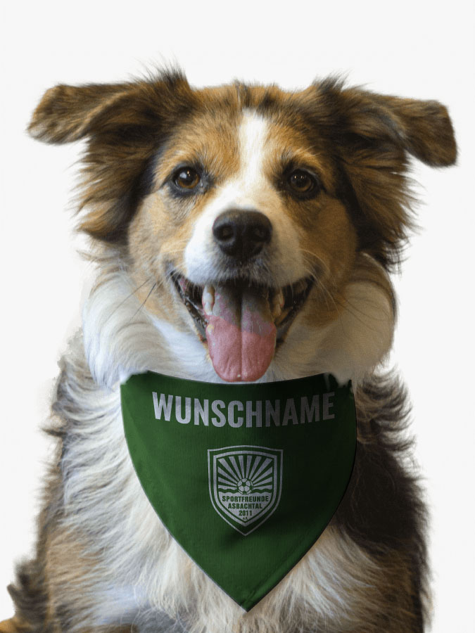 Hundehalstuch