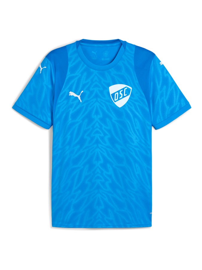 PUMA teamCUP Trikot