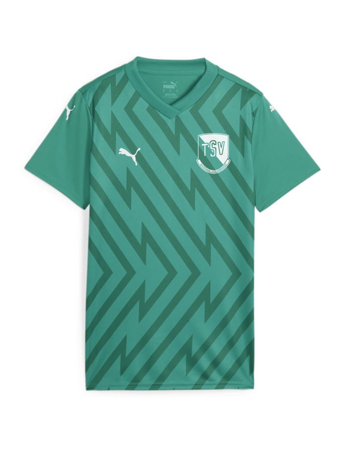 PUMA teamGLORY Trikot Damen