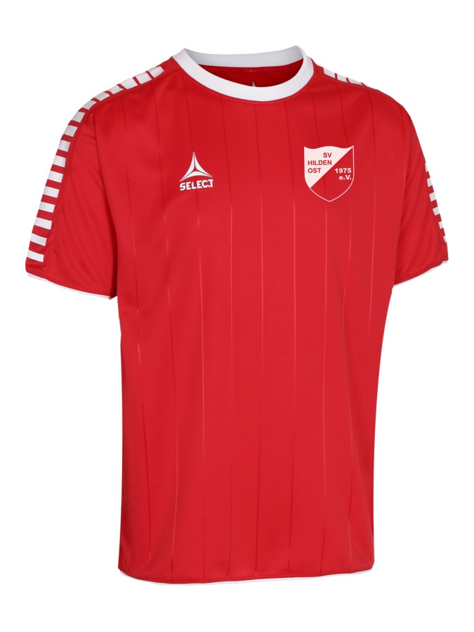 Select Argentina Trikot