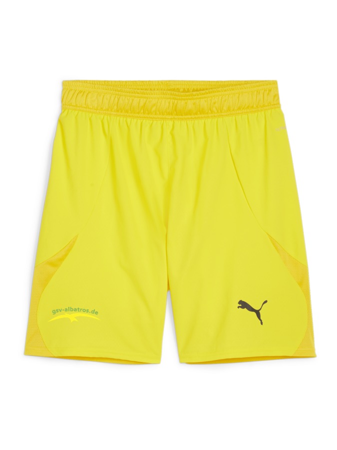 PUMA teamFINAL Shorts