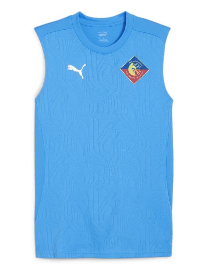 PUMA teamFINAL Trainingstanktop