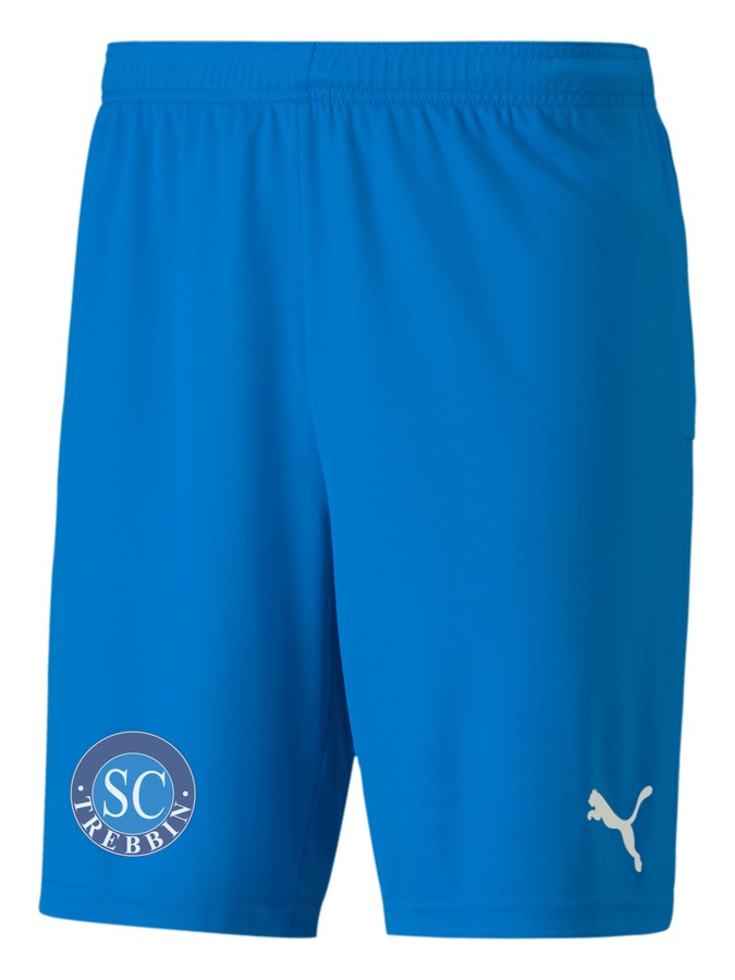 PUMA teamGOAL 23 Knit Shorts