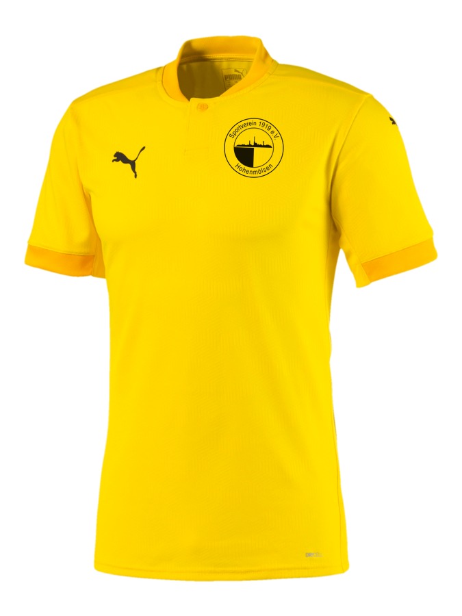 PUMA teamFINAL 21 Trikot