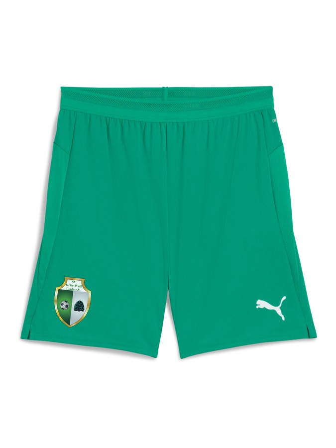 PUMA teamCUP Shorts