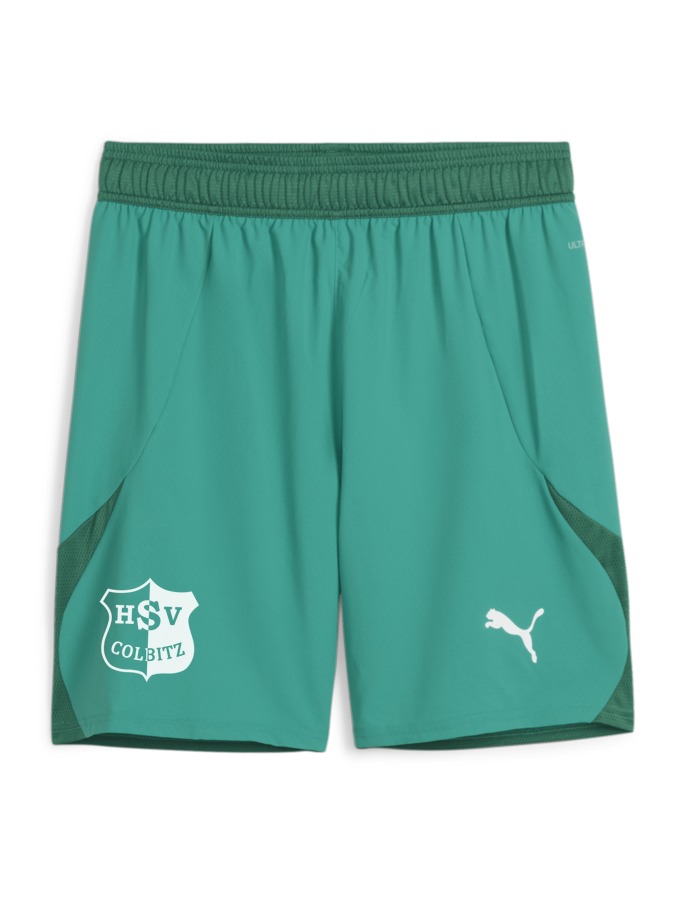 PUMA teamFINAL Shorts