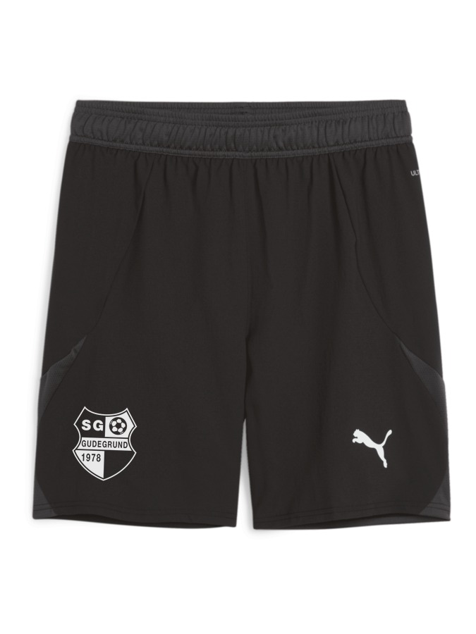 PUMA teamFINAL Shorts