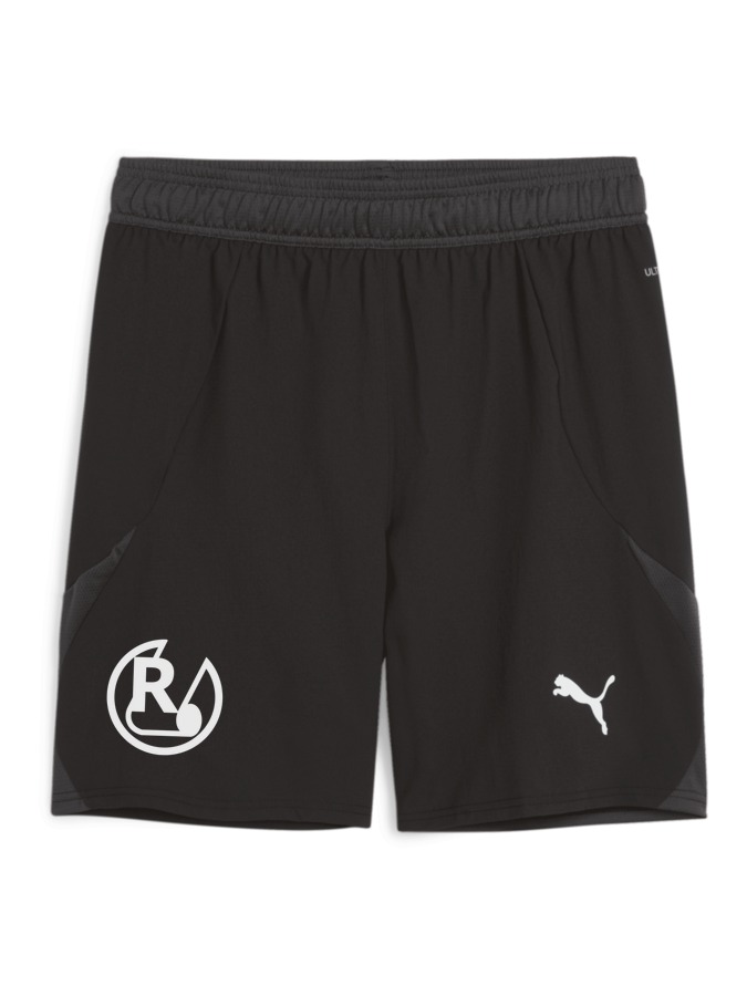 PUMA teamFINAL Shorts