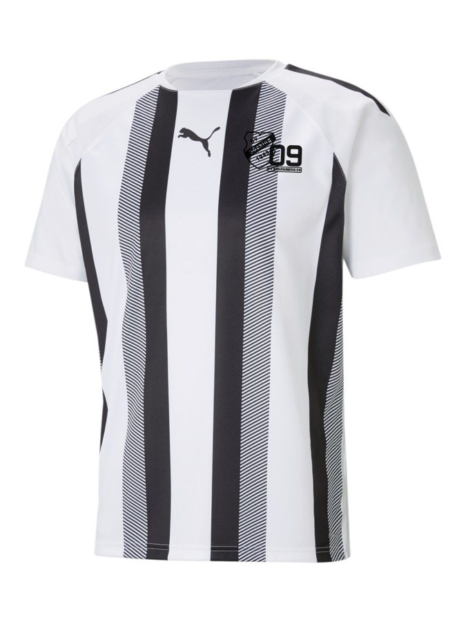 PUMA teamLIGA Striped Trikot