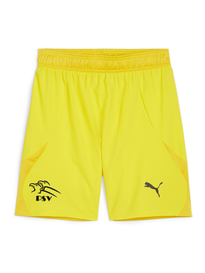 PUMA teamFINAL Shorts